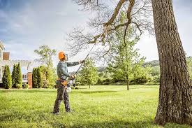 Best Lawn Maintenance Plans  in Piermont, NY